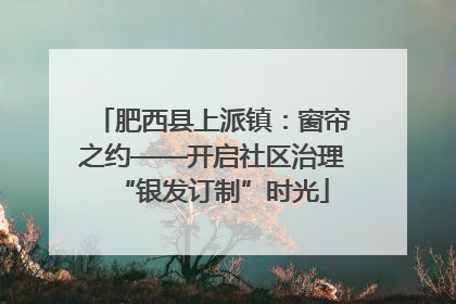 肥西县上派镇：窗帘之约——开启社区治理“银发订制”时光