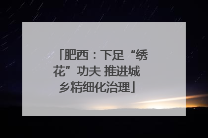肥西：下足“绣花”功夫 推进城乡精细化治理