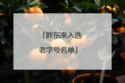 胖东来入选老字号名单