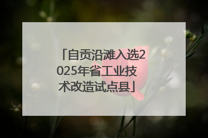 自贡沿滩入选2025年省工业技术改造试点县