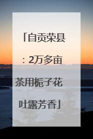 自贡荣县：2万多亩茶用栀子花吐露芳香