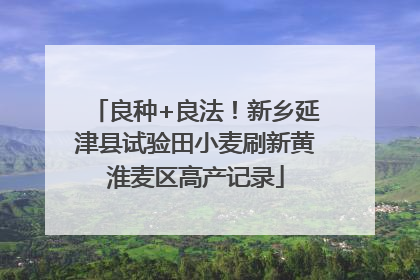 良种+良法！新乡延津县试验田小麦刷新黄淮麦区高产记录