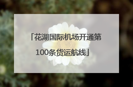 花湖国际机场开通第100条货运航线