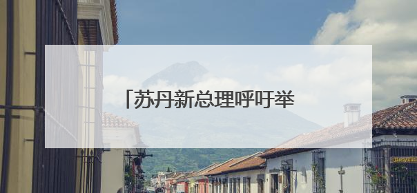 苏丹新总理呼吁举行全面政治对话