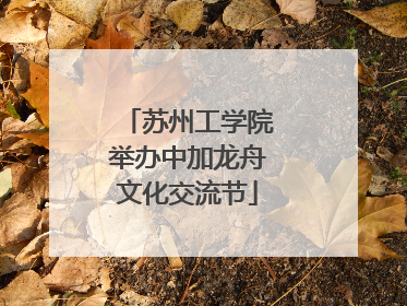 苏州工学院举办中加龙舟文化交流节