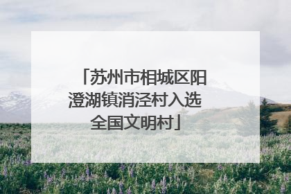 苏州市相城区阳澄湖镇消泾村入选全国文明村