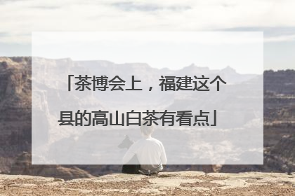茶博会上，福建这个县的高山白茶有看点
