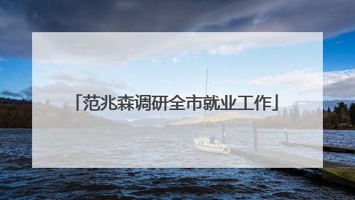 范兆森调研全市就业工作