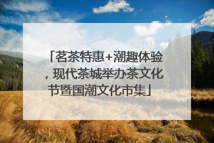 茗茶特惠+潮趣体验，现代茶城举办茶文化节暨国潮文化市集