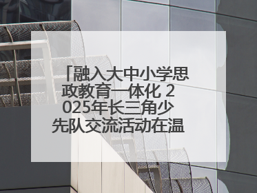 融入大中小学思政教育一体化 2025年长三角少先队交流活动在温岭举办
