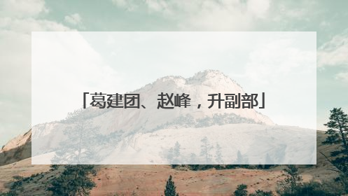 葛建团、赵峰，升副部