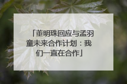 董明珠回应与孟羽童未来合作计划：我们一直在合作