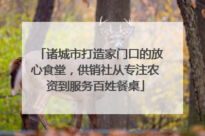 诸城市打造家门口的放心食堂，供销社从专注农资到服务百姓餐桌