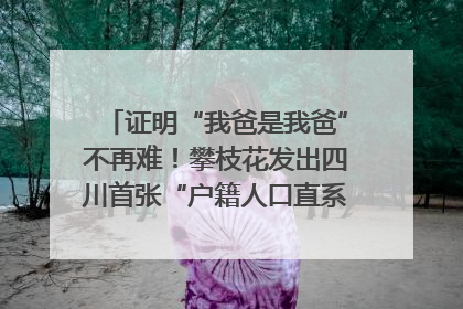 证明“我爸是我爸”不再难！攀枝花发出四川首张“户籍人口直系亲属关系谱”