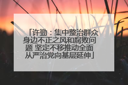 许勤：集中整治群众身边不正之风和腐败问题 坚定不移推动全面从严治党向基层延伸