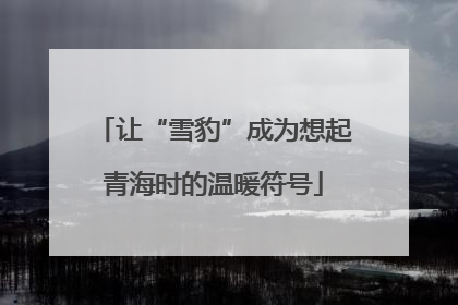 让“雪豹”成为想起青海时的温暖符号