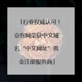行业权威认可！京客网荣获中文域名“中文网址”黄金注册服务商