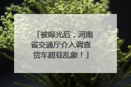 被曝光后，河南省交通厅介入调查货车超载乱象！