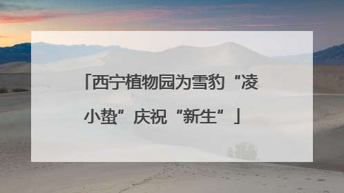 西宁植物园为雪豹“凌小蛰”庆祝“新生”