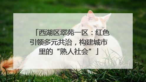 西湖区翠苑一区：红色引领多元共治，构建城市里的“熟人社会”
