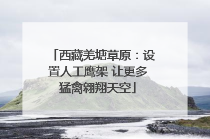西藏羌塘草原：设置人工鹰架 让更多猛禽翱翔天空
