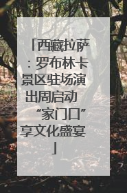 西藏拉萨：罗布林卡景区驻场演出周启动 “家门口”享文化盛宴