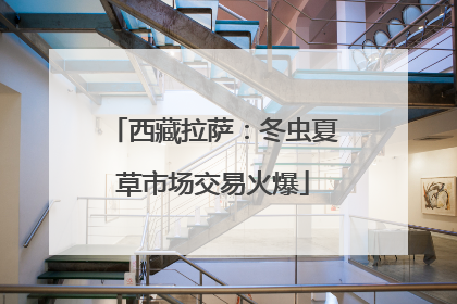 西藏拉萨：冬虫夏草市场交易火爆