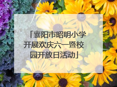 襄阳市昭明小学开展欢庆六一暨校园开放日活动