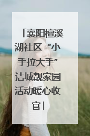 襄阳檀溪湖社区“小手拉大手”洁城靓家园活动暖心收官