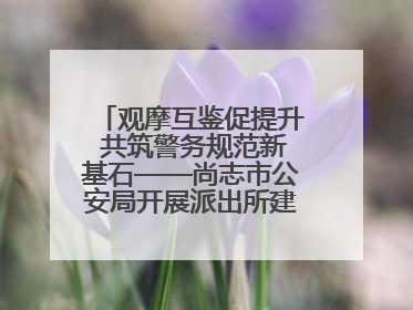 观摩互鉴促提升 共筑警务规范新基石——尚志市公安局开展派出所建设拉动观摩活动