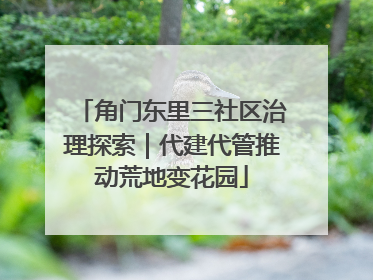 角门东里三社区治理探索｜代建代管推动荒地变花园