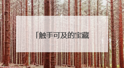 触手可及的宝藏湿地：淀湖村的“魔都小亚马逊”