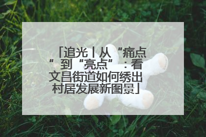 追光丨从“痛点”到“亮点”：看文昌街道如何绣出村居发展新图景