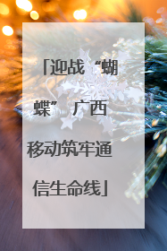 迎战“蝴蝶” 广西移动筑牢通信生命线