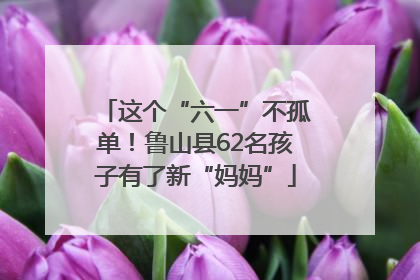 这个“六一”不孤单！鲁山县62名孩子有了新“妈妈”