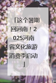 这个暑期回河南！2025河南省文化旅游消费季启动