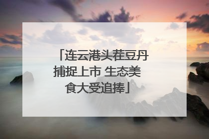 连云港头茬豆丹捕捉上市 生态美食大受追捧