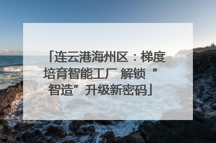 连云港海州区：梯度培育智能工厂 解锁“智造”升级新密码