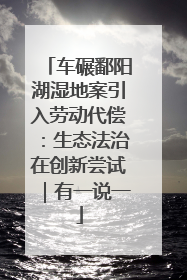 车碾鄱阳湖湿地案引入劳动代偿：生态法治在创新尝试｜有一说一