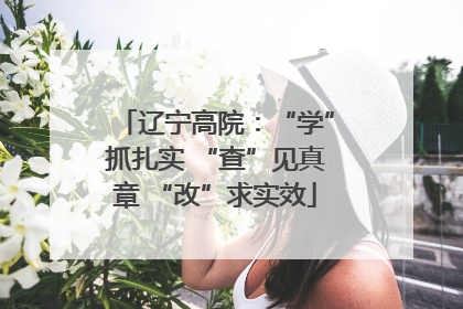 辽宁高院：“学”抓扎实 “查”见真章 “改”求实效