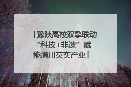 豫陕高校双擎联动 “科技+非遗”赋能潢川芡实产业