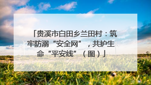 贵溪市白田乡兰田村：筑牢防溺“安全网”，共护生命“平安线”（图）