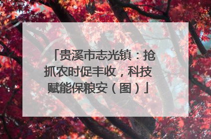 贵溪市志光镇：抢抓农时促丰收，科技赋能保粮安（图）
