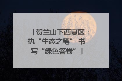 贺兰山下西夏区：执“生态之笔” 书写“绿色答卷”