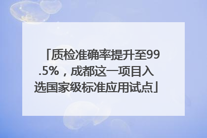 质检准确率提升至99.5%，成都这一项目入选国家级标准应用试点