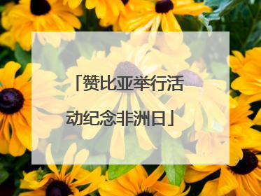 赞比亚举行活动纪念非洲日