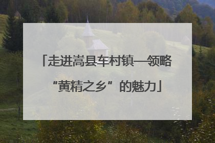 走进嵩县车村镇—领略“黄精之乡”的魅力