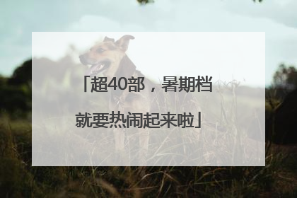超40部，暑期档就要热闹起来啦