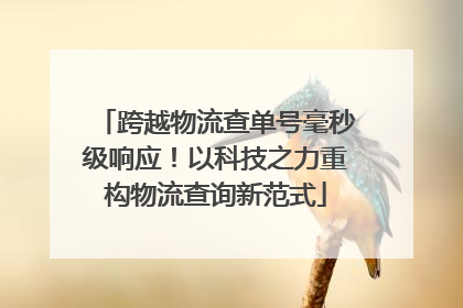 跨越物流查单号毫秒级响应！以科技之力重构物流查询新范式