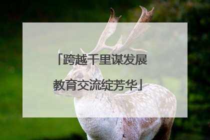 跨越千里谋发展 教育交流绽芳华
